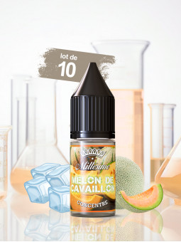 083.MELON DE CAVAILLON CONCENTRE (Lot de 10)