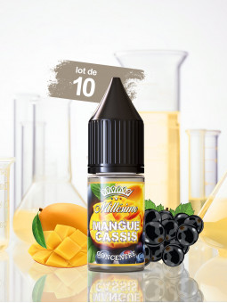 065.MANGUE CASSIS CONCENTRE (Lot de 10)