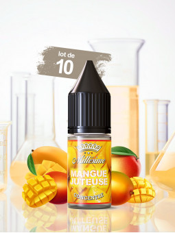 078.MANGUE JUTEUSE CONCENTRE (Lot de 10)