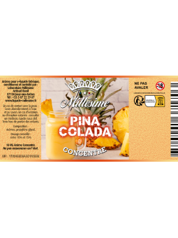 055. PINACOLADA CONCENTRE (Lot de 10)
