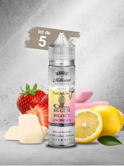 113.BB GUM BIGOUT 50 ML SILVER (Lot de 5)