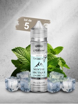106.MENTHE ARCTIQUE 50ML SILVER (Lot de 5)