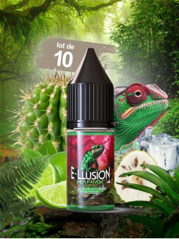 821.MANIAK 10 ML (Lot de 10)