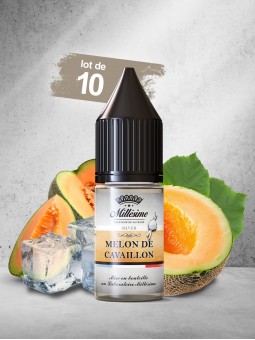 031. MELON DE CAVAILLON 10 ML (Lot de 10)